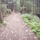 Image for article titled Riding The World's Best Downhill Bike Park